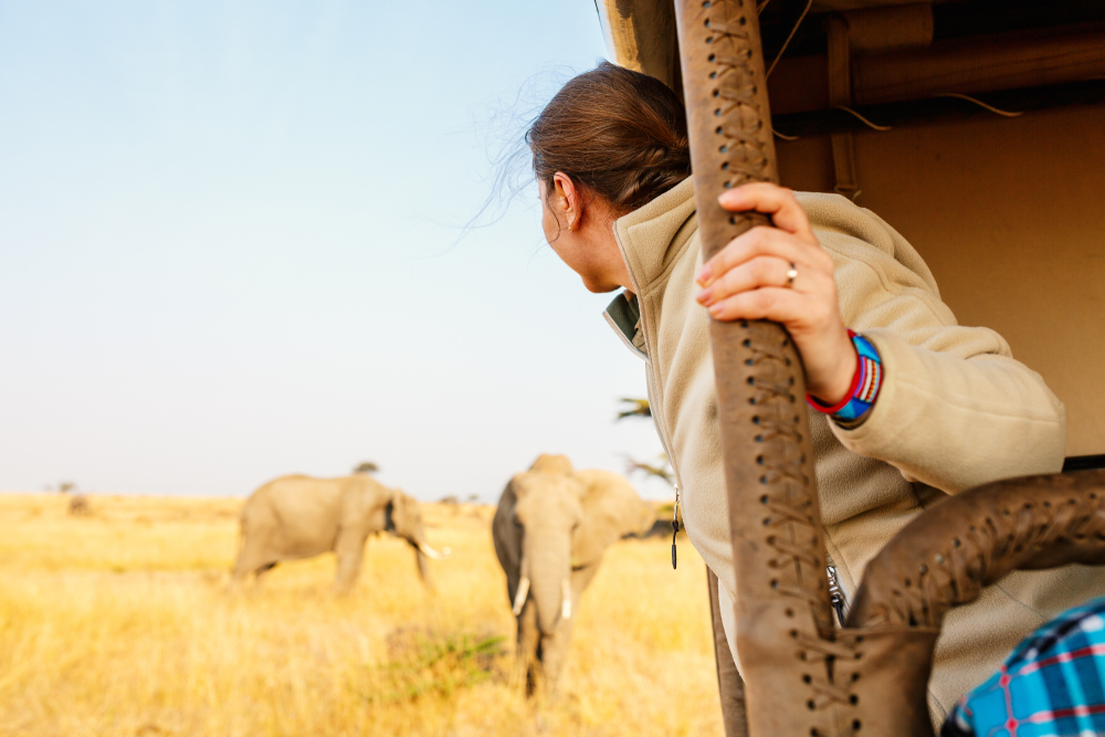 Safari in der Massai Mara